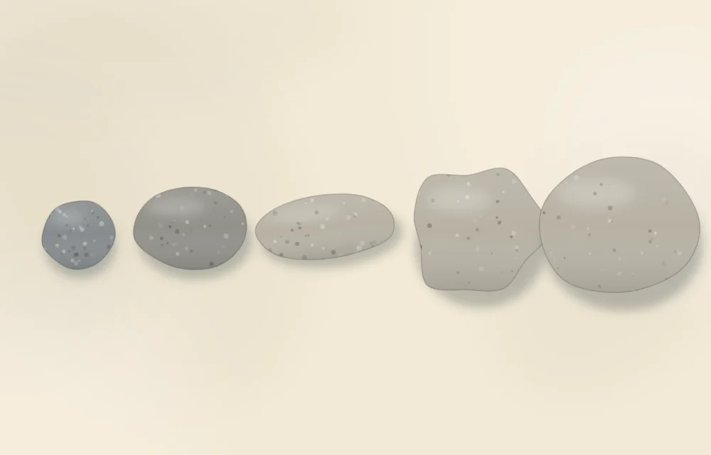 Five bare stones arranged from small to large: round, oval, long and narrow, rounded triangle, and a wide flat one