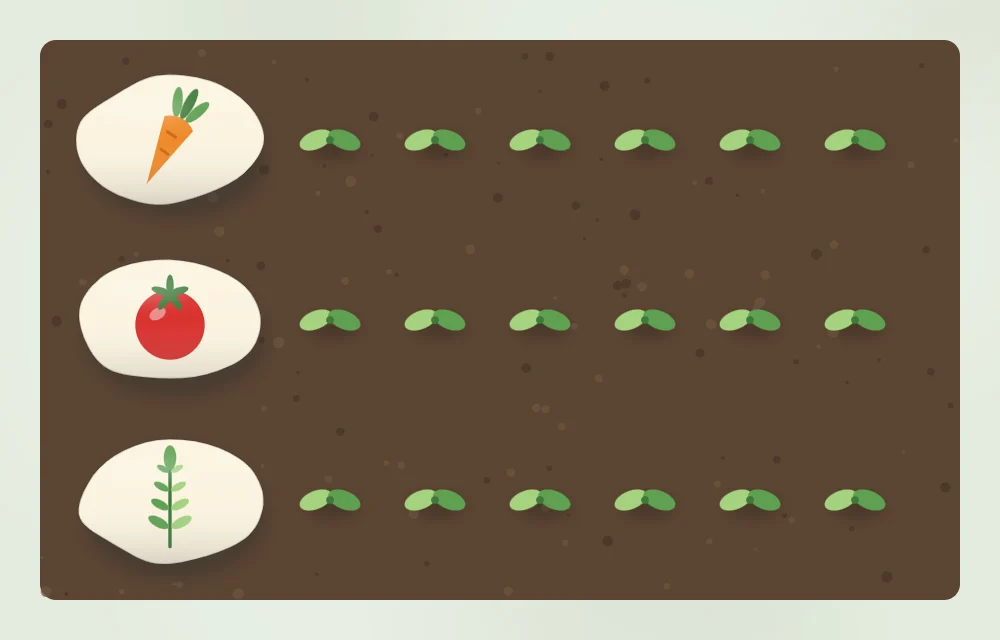 A garden bed seen from above with rows of small green seedlings and a painted marker stone at the end of each row
